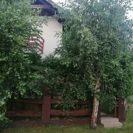 Liliowa 23 Giżycko